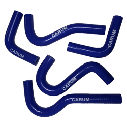 ������ ��������� 3302 ������ (5 ��) �������, Carum ������ � �������