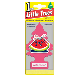 ������������ "������" ����� CAR FRESHNER  ������ � �������
